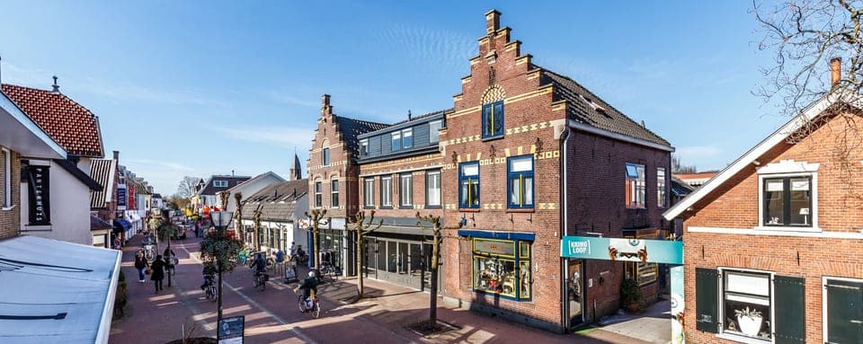 Daken en bebouwing in Driebergen